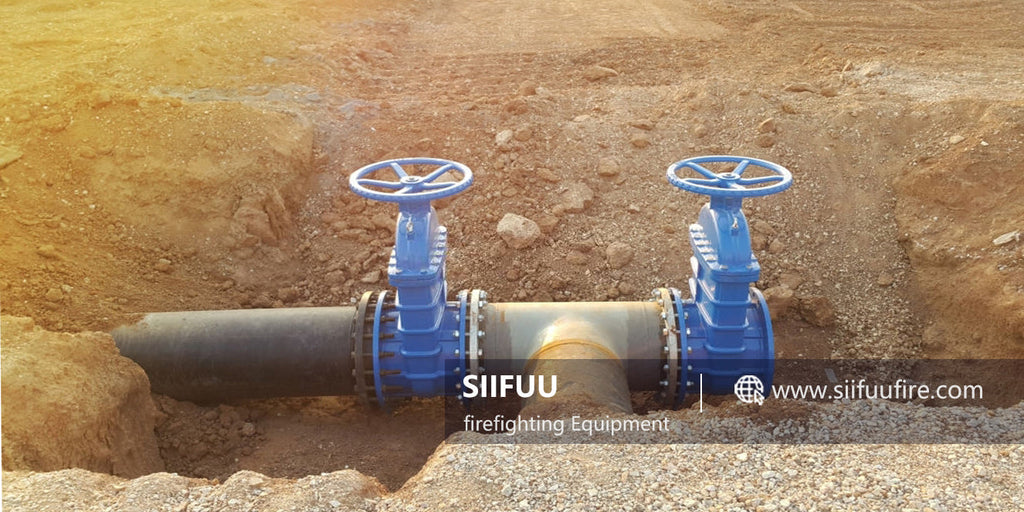 User-Customized, Non-rising Stem Gate Valve, Flange Connection.