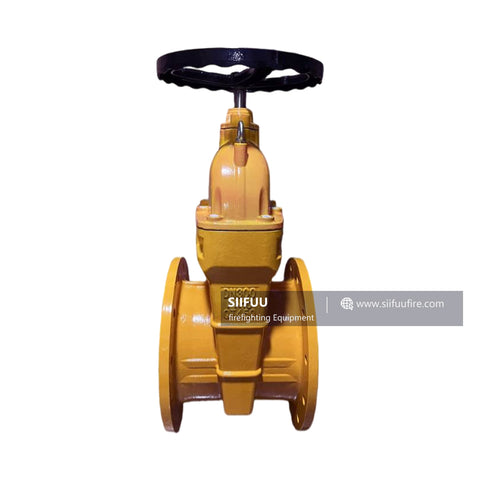 User-Customized, Non-rising Stem Gate Valve, Flange Connection.