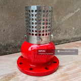 Foot Valve DN40-DN300 (1.5" to 12")